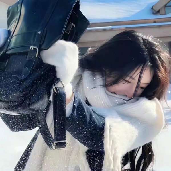 高清·回声录事·重逢海报