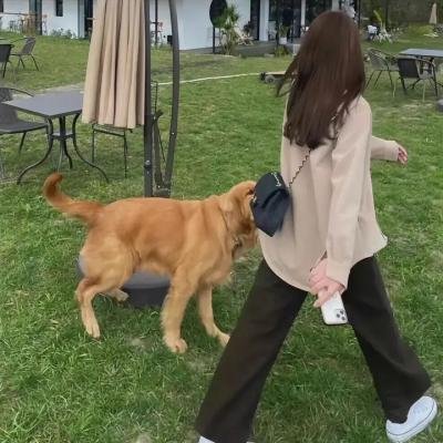 东街长河番外海报